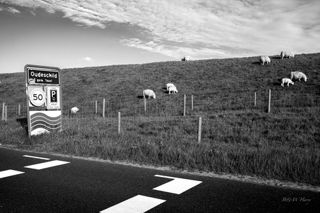 Texel 