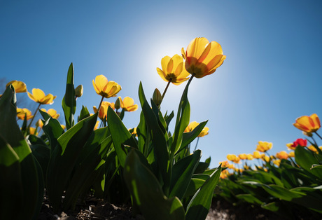 Een ander perspectief