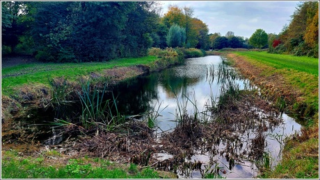 Overgang van de seizoenen