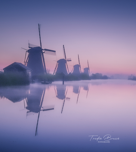 Kinderdijk