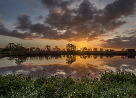 Langs het Zwarte Water bij Hasselt Overijssel