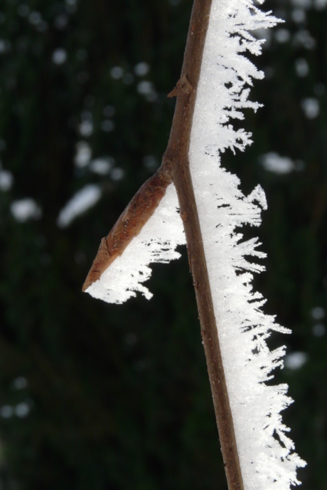 Frozen..