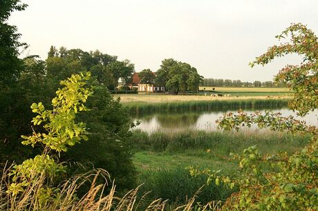 Boerderij in de polder