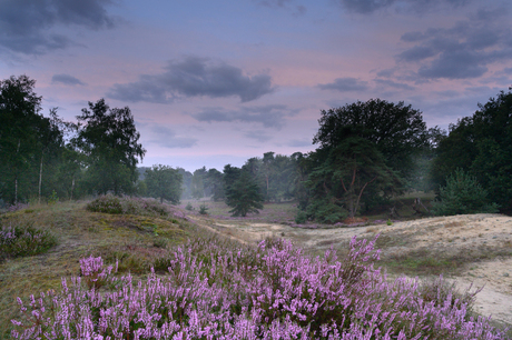 Good morning kampina