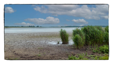 Lauwersmeer
