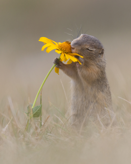 Just smelling spring..