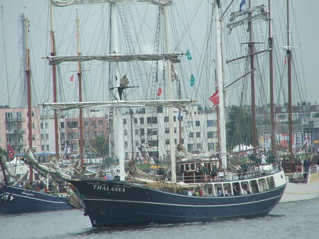 SAIL 2005 AMSTERDAM