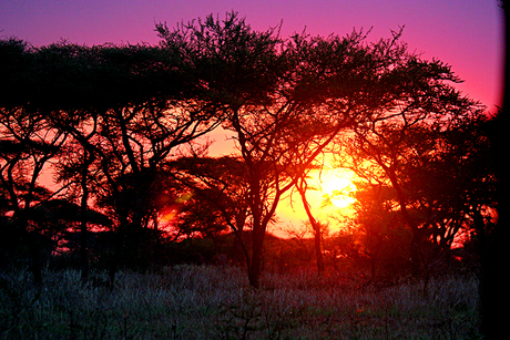 Zonsondergang in Kenia