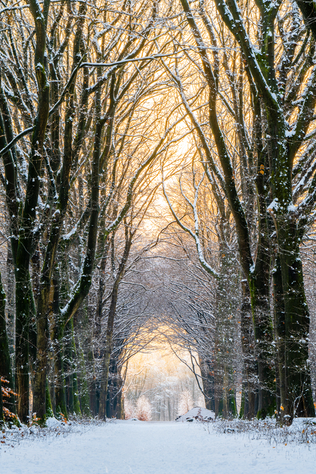 Kleurrijke sneeuwdag