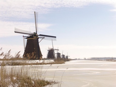 Kinderdijk winter 2005