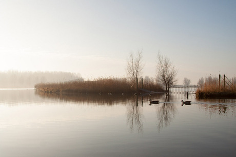 aan de Westbroekerplas