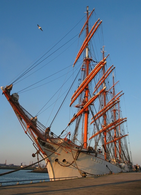 De Russen zijn in IJmuiden