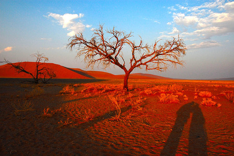 Namibia