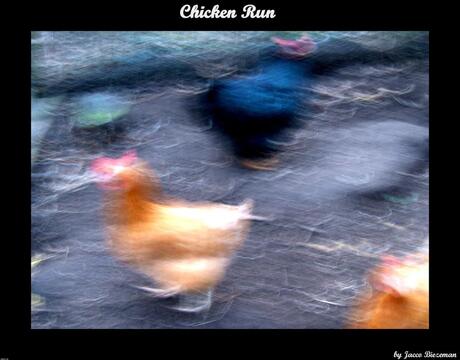 Chicken Run