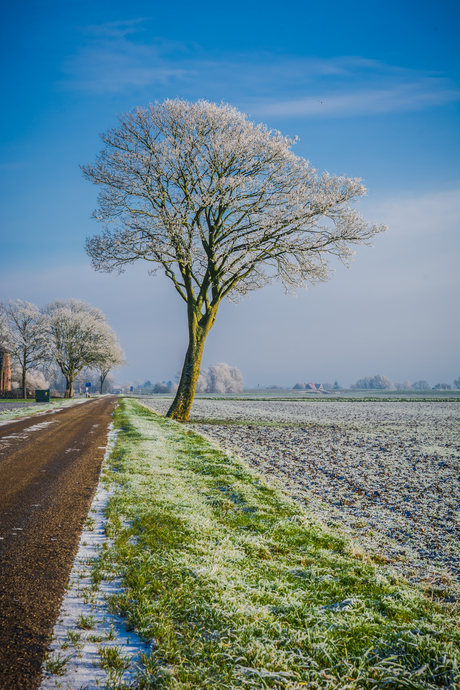 Winterlandschap