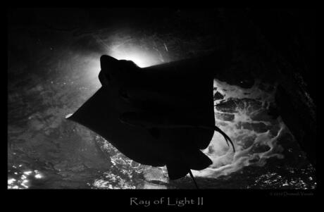 Ray of light 2