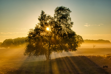 Het regent zonnestralen!