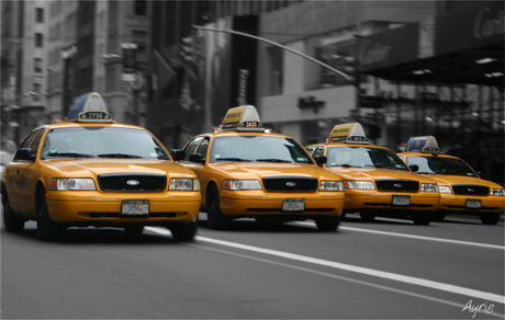 Yellow Cabs