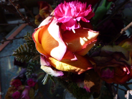 Wilted flower by Elle Hart