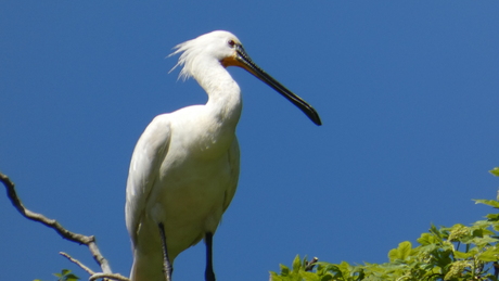 Kijk mij eens zitten