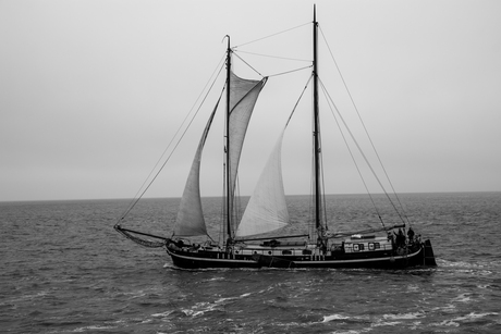 Waddenzee