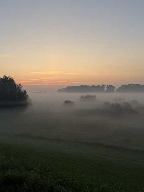 Mistige ochtend