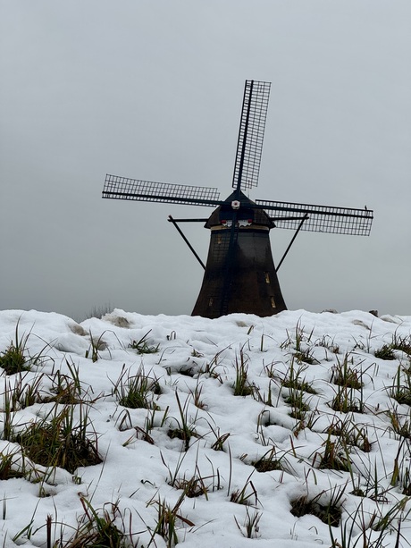 Sneeuw in Kinderdijk