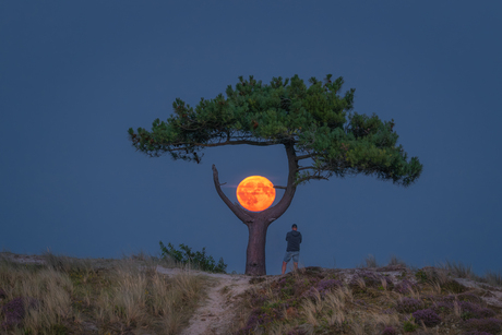 Wachter van de Maan.
