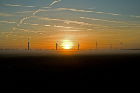 uitzicht boven weiland