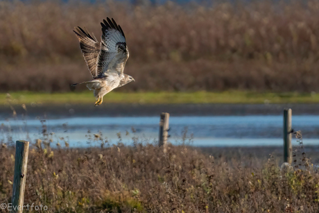 And.... lift-off.....