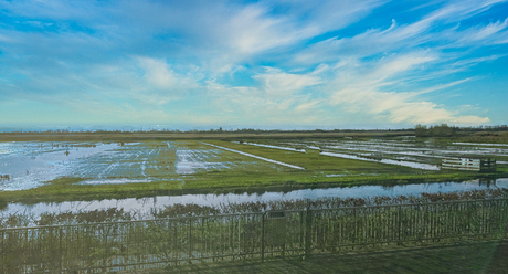 Nederland : waterland