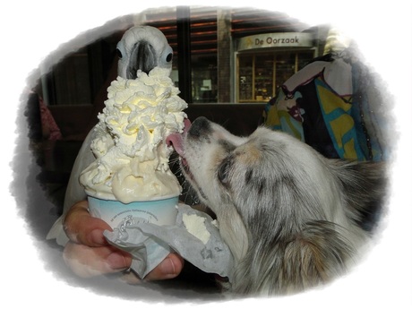 Hmmmmmmmmmmmm.................... wat een heerlijk ijsje!!!