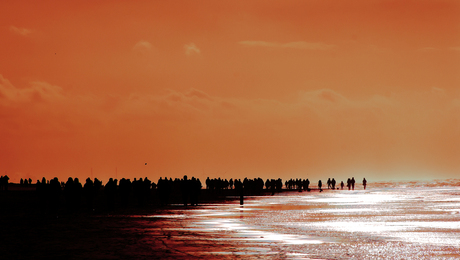 Tegenlicht 2013 Bergen aan Zee.jpg