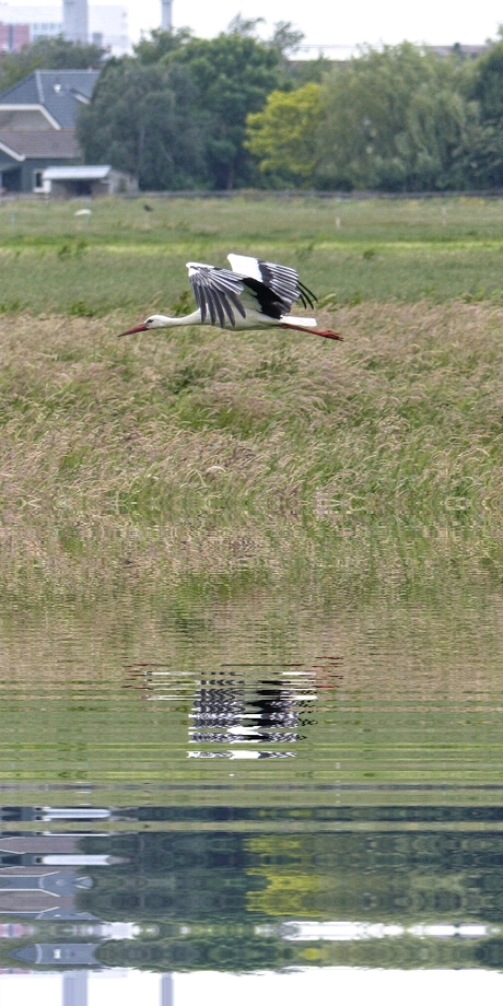 water_reflection_1560615594073