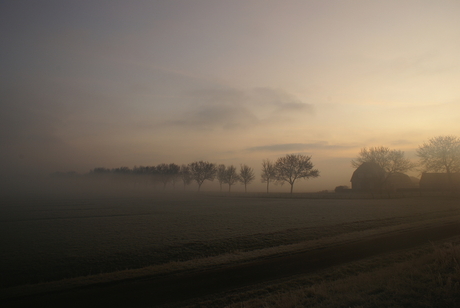 Nevel in de polder