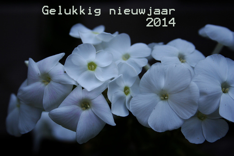 gelukkig nieuwjaar 2014