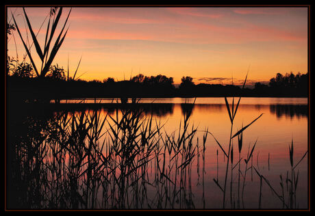 Scharmergat in de avond