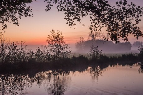 koude morgen met mist