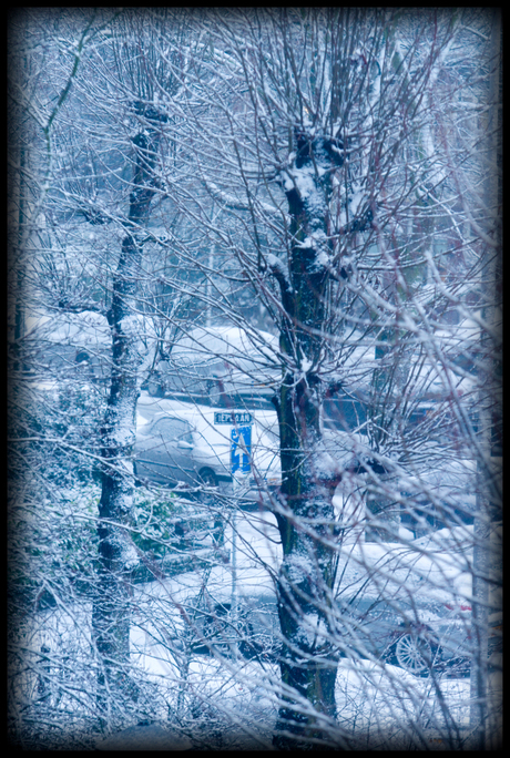 Snowed neighbourhood