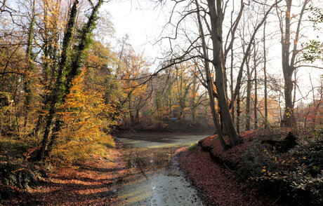 The Wonderful Colours of Autumn