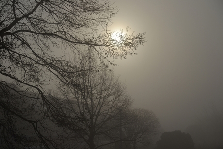 Zonsopkomst in de mist