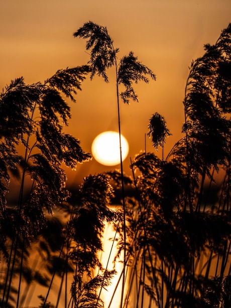 Genieten van de zonsondergang 