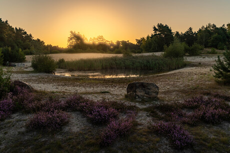 Zonsopkomst over de heide
