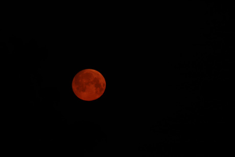 Rode maan 