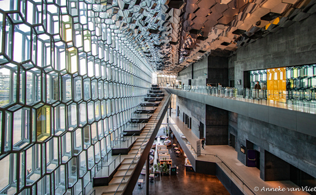 Harpa 4