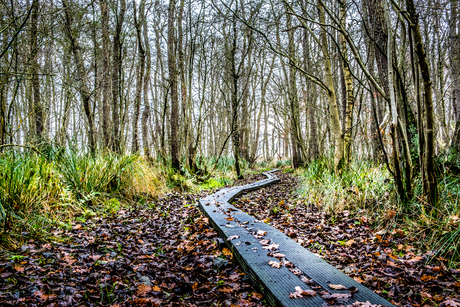 Naardermeer