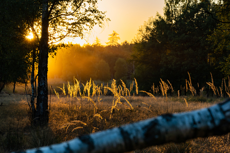 Zonsondergang Heide