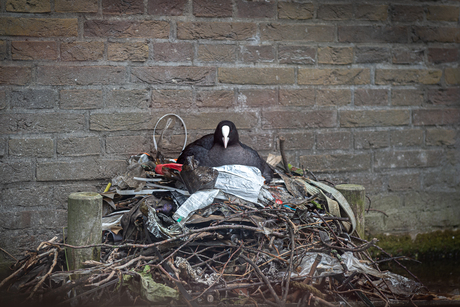 Van de nood een deugd maken!