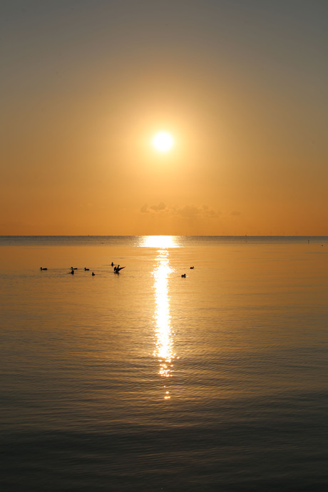 IJsselmeer