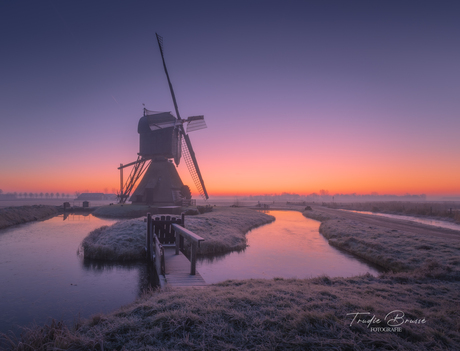 Winterkleuren